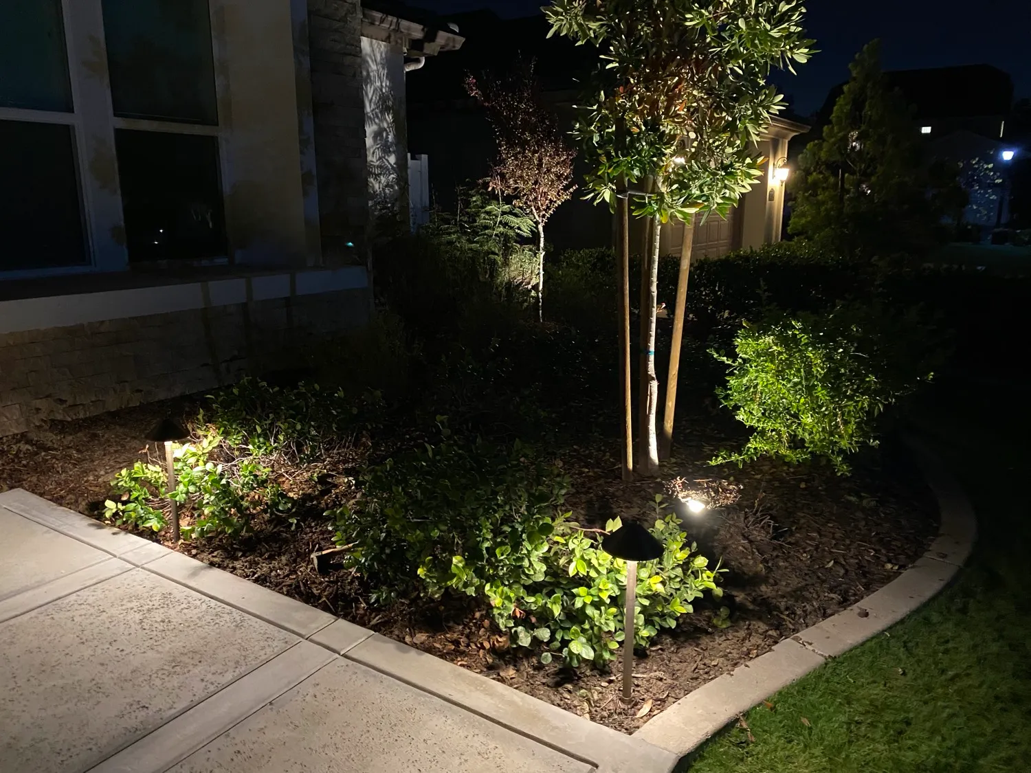 Path lighting integrated with planting bed uplighting