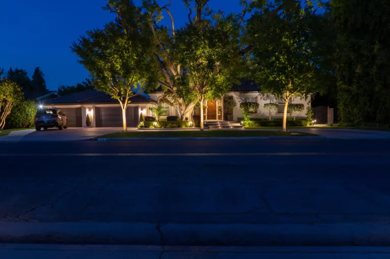 Mature trees illuminated across a residential front yard