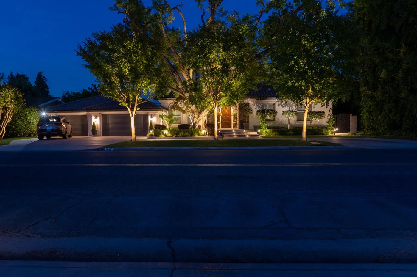 Mature trees illuminated across a residential front yard