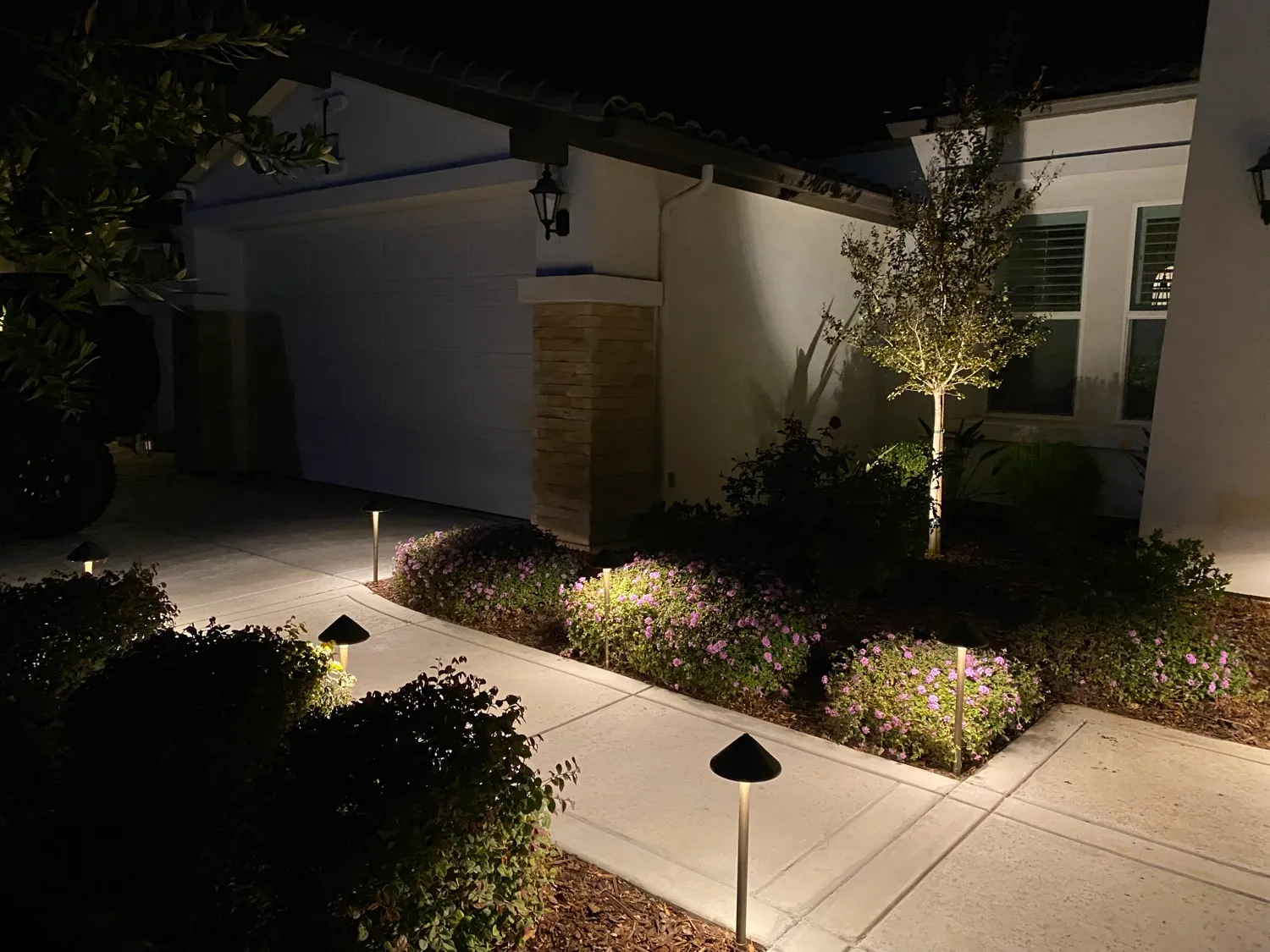 Front yard landscape lighting with path lights and tree uplighting