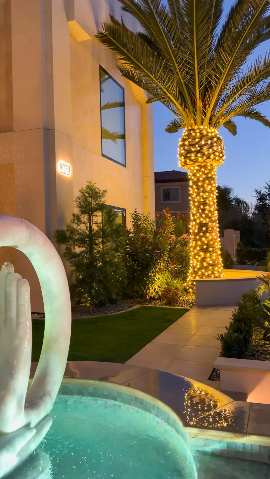 Palm tree lighting beside a pool